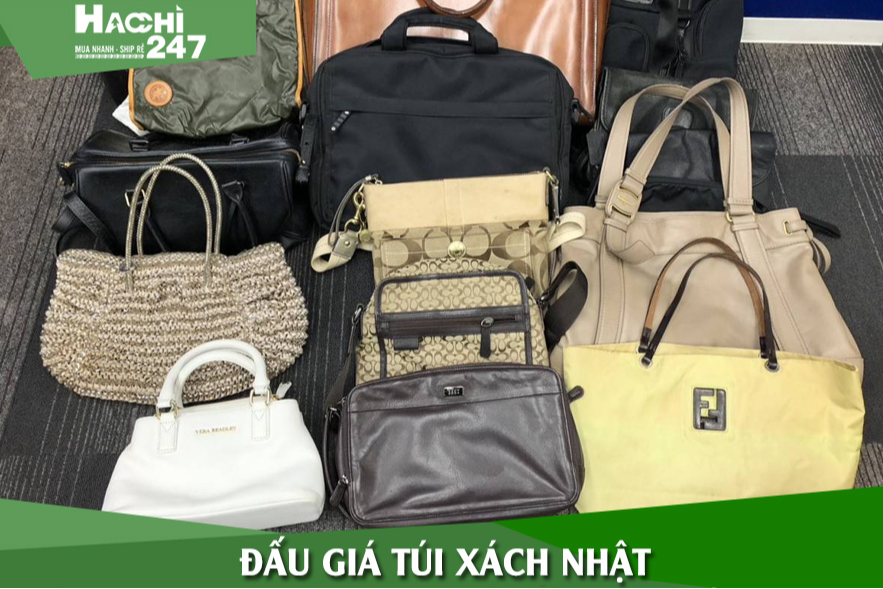 /images/article-image/dau-gia-tui-xach-nhat.jpg