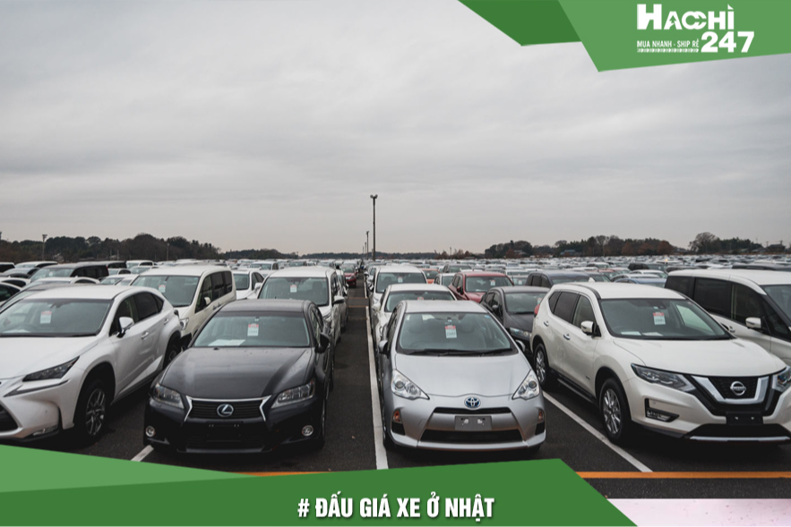 /images/article-image/dau-gia-xe-o-nhat.jpg