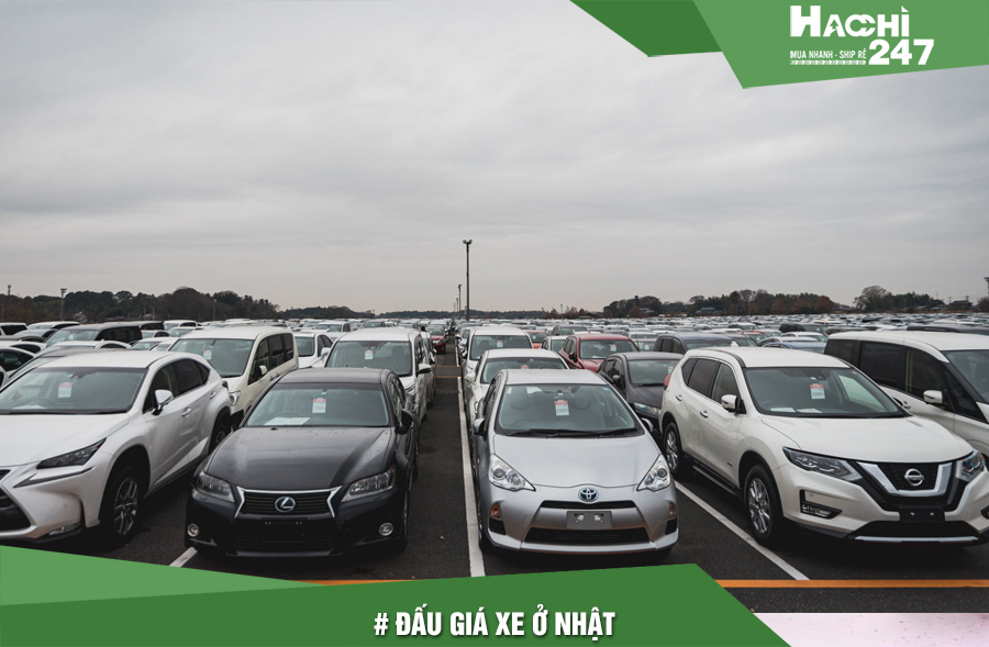 dau-gia-xe-o-nhat.jpg