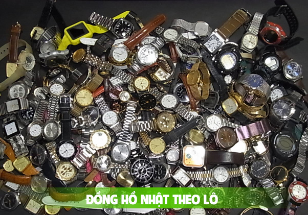 dong1686123706605.jpeg