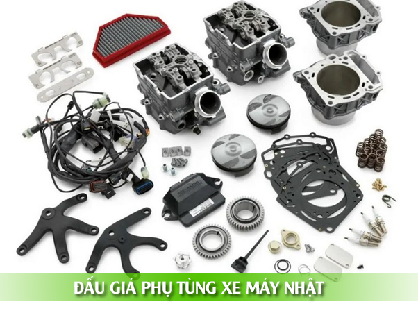 phu-1686195806275.jpeg