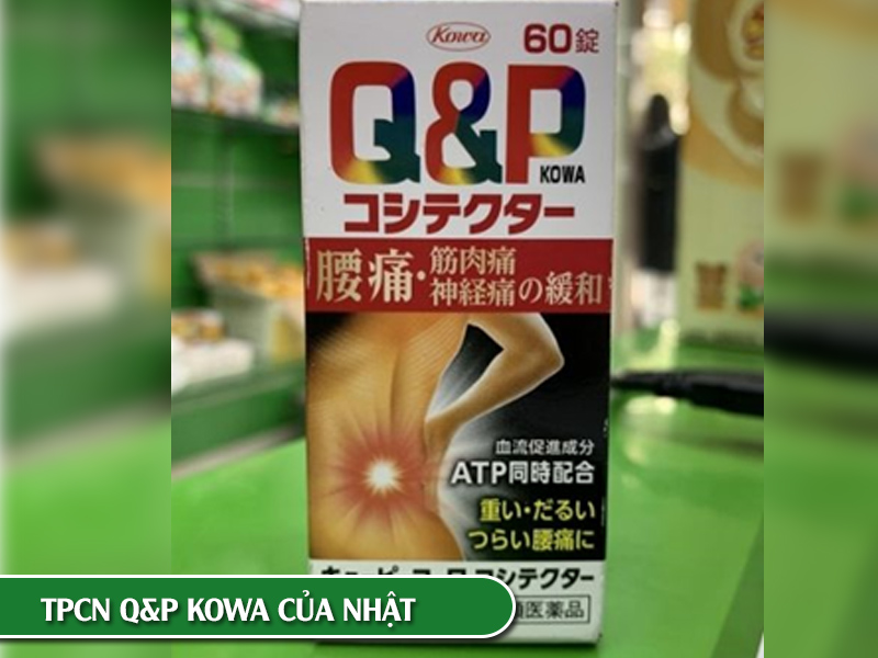 q&p-kowa.jpg