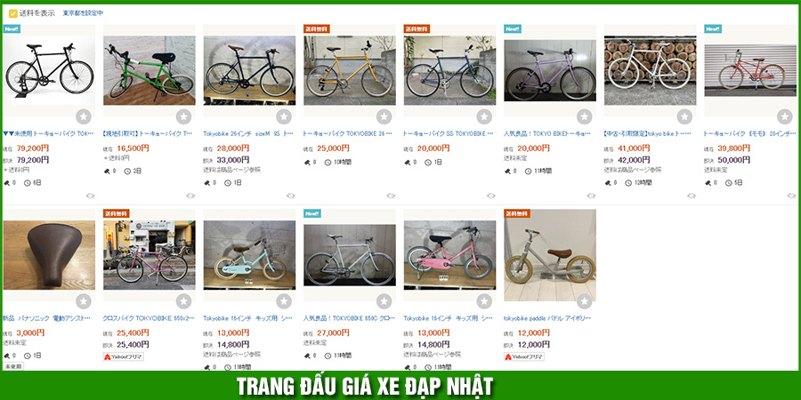trang-dau-gia-xe-dap-nhat.jpg